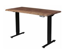 Adona Adjustable Desk