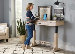 Craftsman Electric Sit-to-Stand Writer's Desk