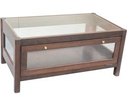 Coffee Table Display Case
